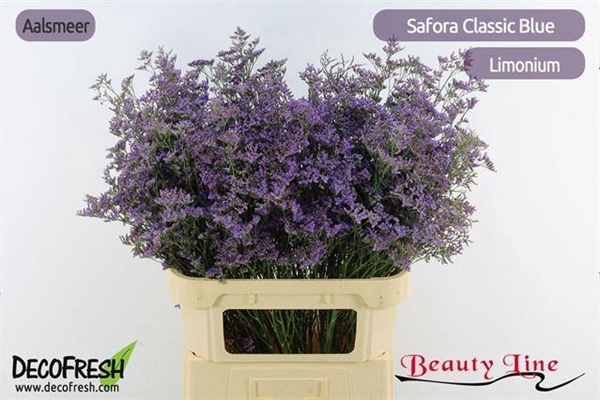 <h4>LIM SAF CLASSIC BLUE</h4>