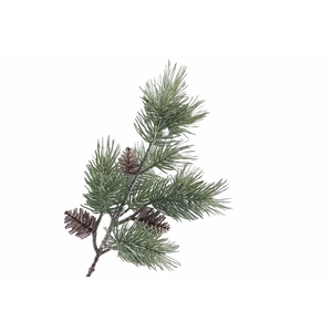 Pine Cone Spray Green White