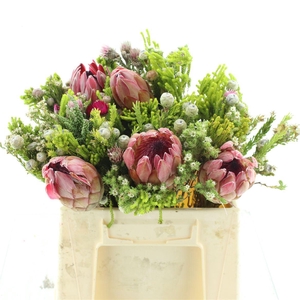 Kaaps Bouquet Single Protea Mix
