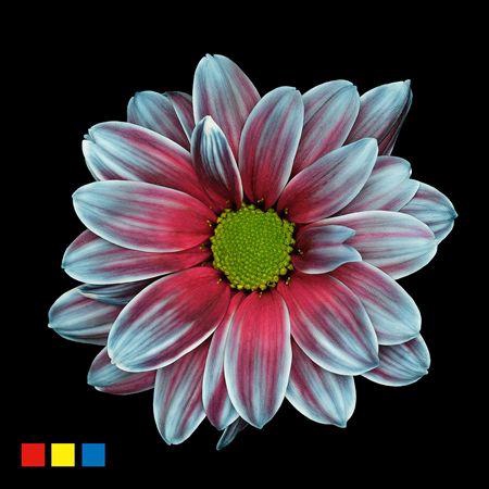 <h4>Chr T Kennedy Ocean Fresh</h4>