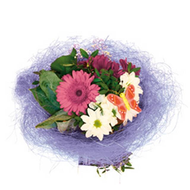 <h4>Housses 52x35x10cm OPP40 Kraftline rose</h4>