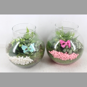 arr2 PL - Bolglas nek XL - roze/wit