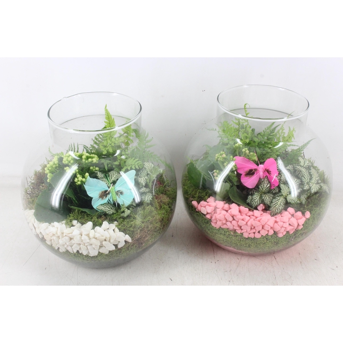 <h4>Arr2 Pl - Bolglas Nek Xl - Roze/wit</h4>