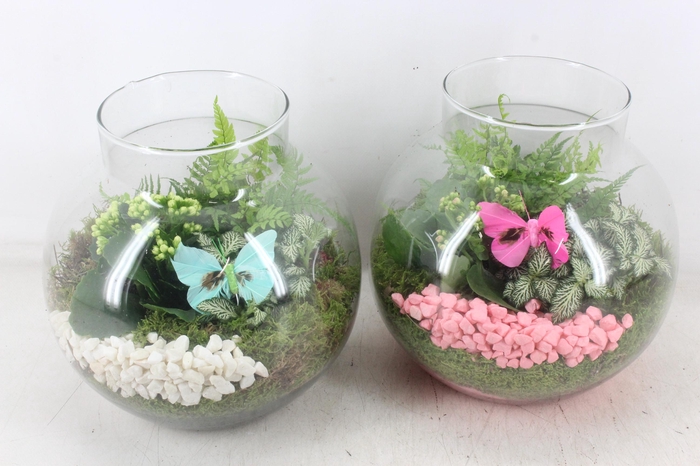 <h4>arr2 PL - Bolglas nek XL - roze/wit</h4>