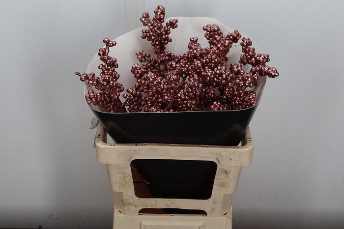 <h4>Ilex Wx Koper Xl</h4>