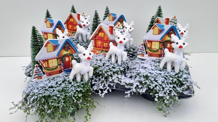 <h4>SOLEI SOL GROEN</h4>