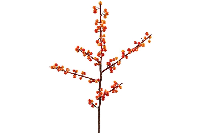 <h4>Ilex Berry Spray Orange XM660066ORA</h4>