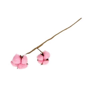 Stem Cotton 2 Heads L50 Dark Pink