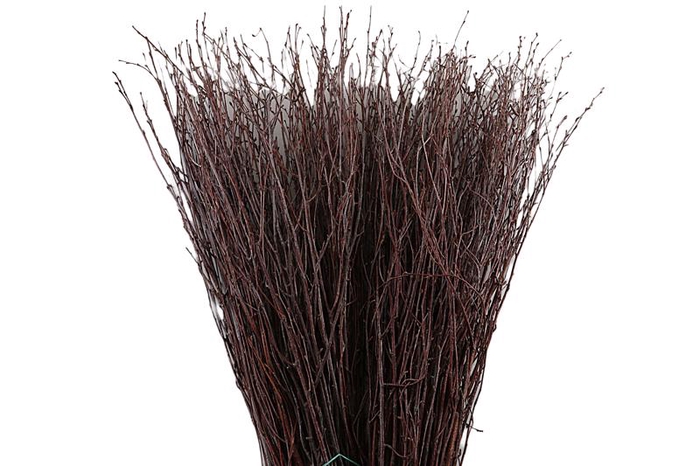 <h4>Berk Natural</h4>