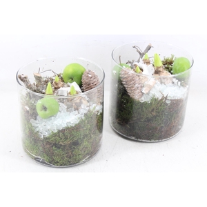 arr4 Hyacint MB - Glas cilin. 338/6