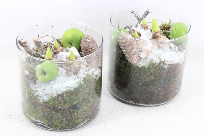 <h4>arr4 Hyacint MB - Glas cilin. 338/6</h4>