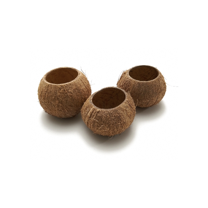 <h4>COCO CUP NATURAL 5PCS</h4>