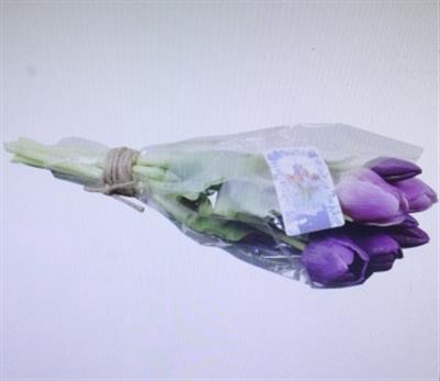 <h4>3102 Kunst Tulp Paars</h4>