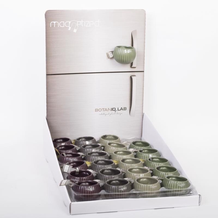 <h4>999153 Vertical GL display P6</h4>