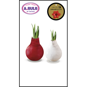 A.BULB of Colour - 28cm Red-White Waxed Mix
