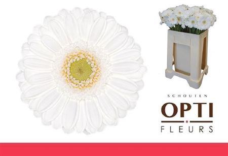 <h4>Ge Mi Lobby</h4>