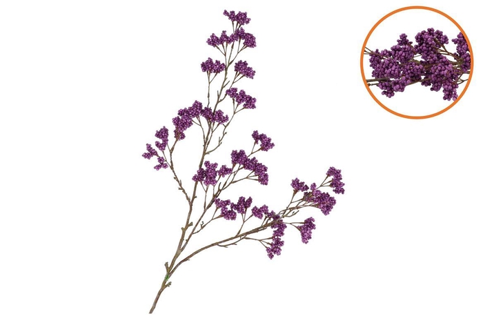 <h4>Silk Berry Spice Dark Purple 108cm Nm</h4>