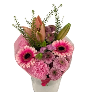 Bq Volume Voltage Pink S