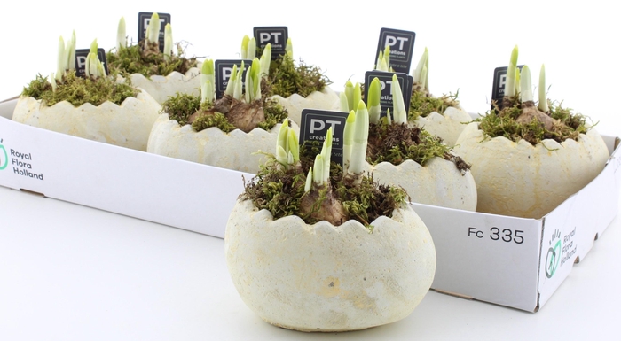 <h4>ARR N TETE A TETE</h4>