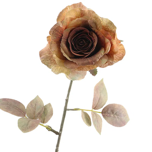 Rosa Dried Brown FL440071BRN