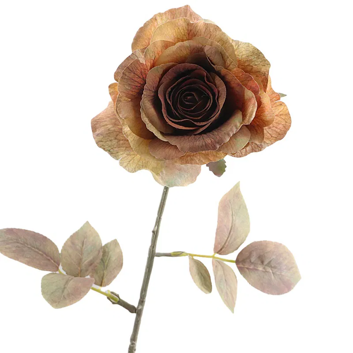 <h4>Rosa Dried Brown FL440071BRN</h4>