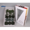 Aloe Mix (wincx) Cutflower Wincx-10cm