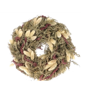 Wreath d25cm Phalaris