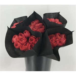 Ran Suc Terracotta Sup