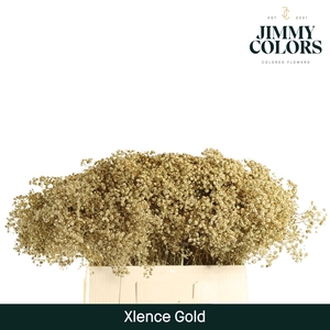 Gyps xlence L60 Mtlc. Gold