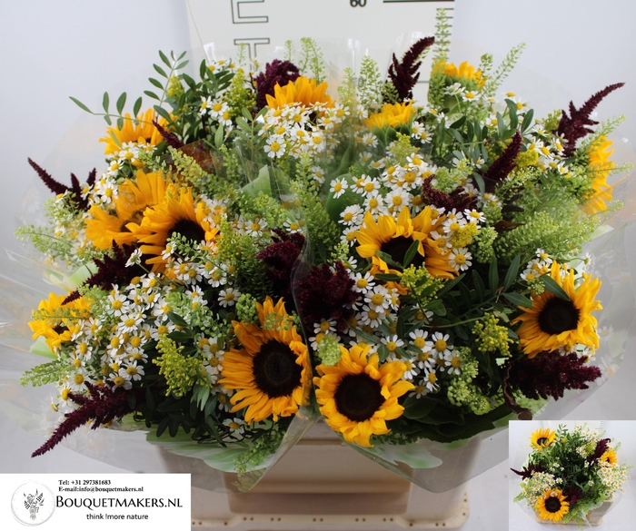 <h4>GEM BOEKET OV</h4>