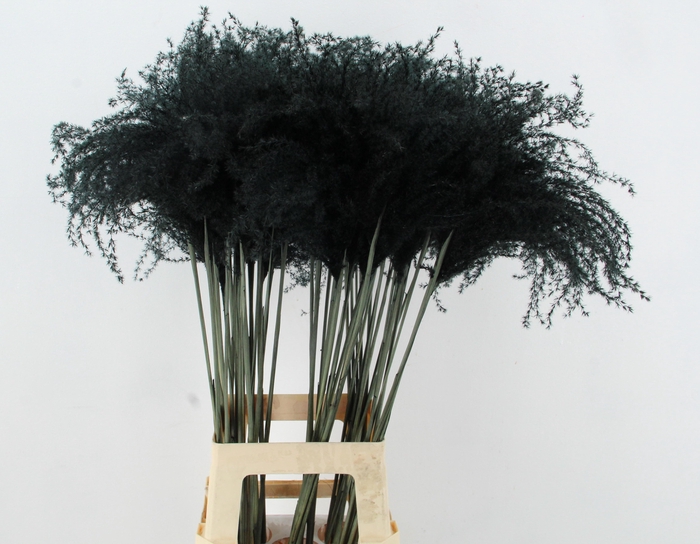 <h4>DROOGBL BEWERKT H%</h4>