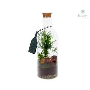 Green Bottle Fles Medium Kerst met Arrangement