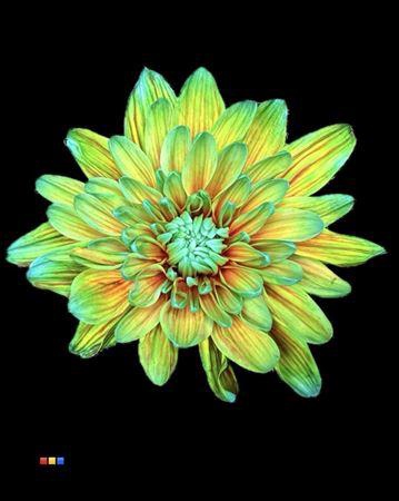 <h4>Chr T 2 Kl Baltica Curacao</h4>