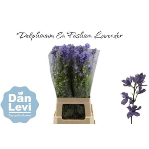 DELPH EN FASHION LAV