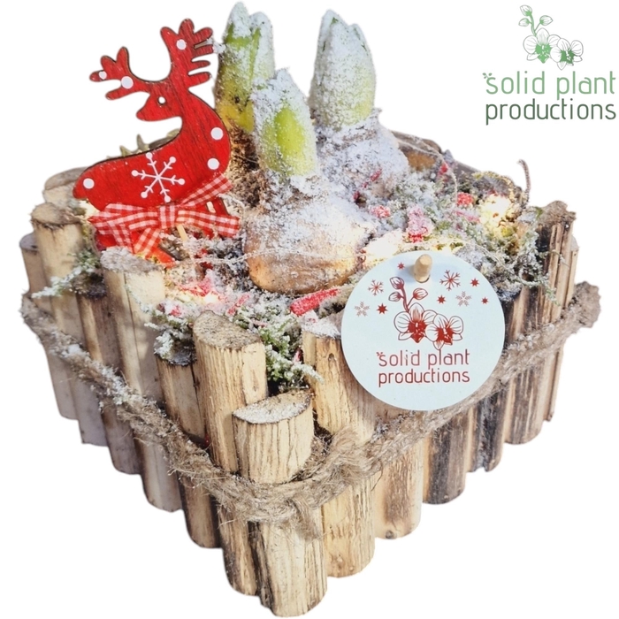 <h4>HXH004 Verona Small Hyacint +LED</h4>