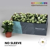 Kalanchoe No Sleeve - White with glitter - kerst