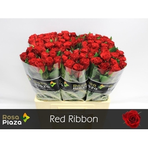 R GR RED RIBBON