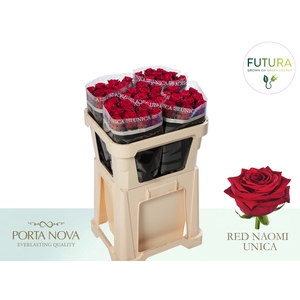 R GR RED NAOMI! UNICA - Futura 70 - Futura