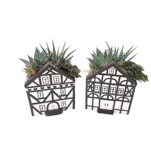 Arr.   Kamerplant Groen L%