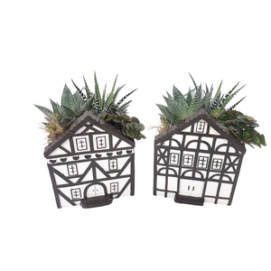 Arr.   Kamerplant Groen L%