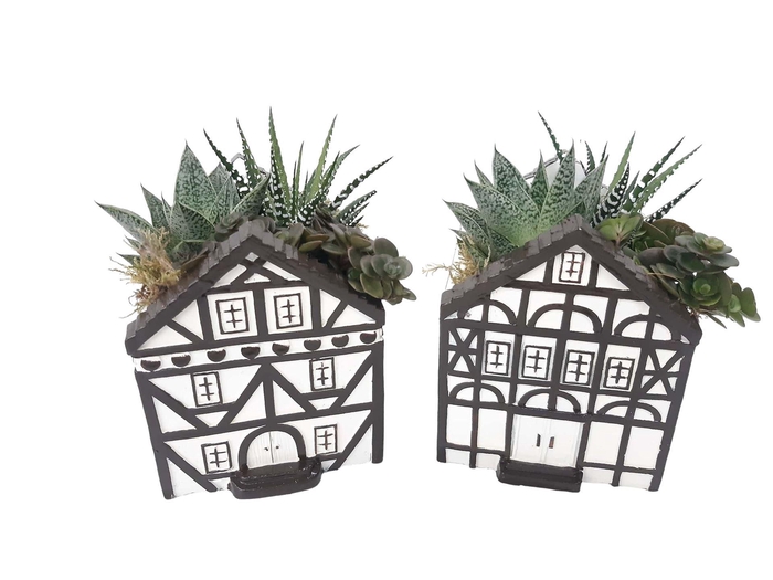 <h4>Arr.   Kamerplant Groen L%</h4>