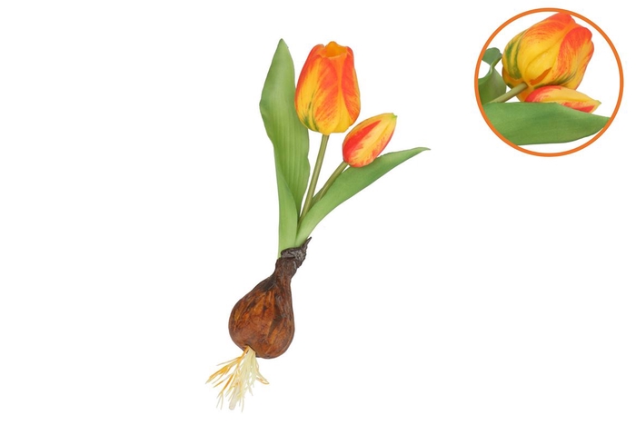 Silk Tulip Bulb Orange 25cm