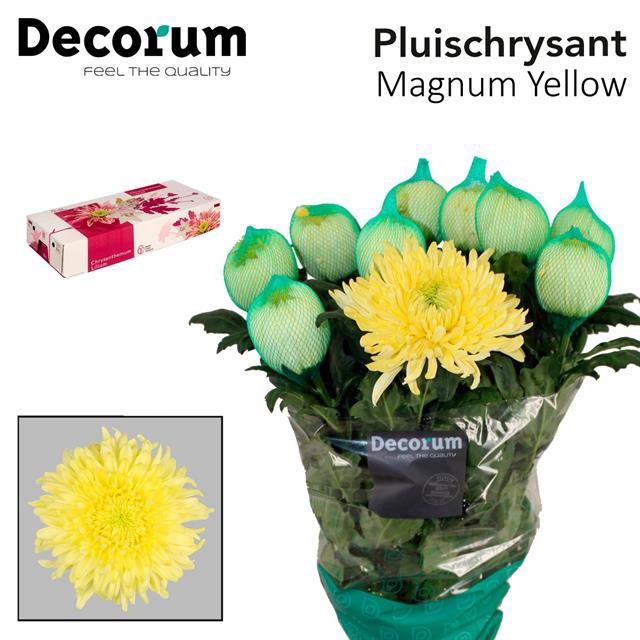 <h4>Chr. G Magnum Yellow 115gr</h4>