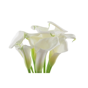 Calla Crystal Blush