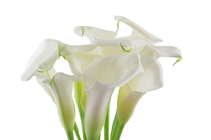 <h4>Calla Crystal Blush</h4>