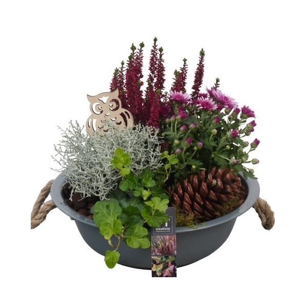 <h4>PTHO4025 Arrangement Herfst Outdoor in metalen schaal</h4>