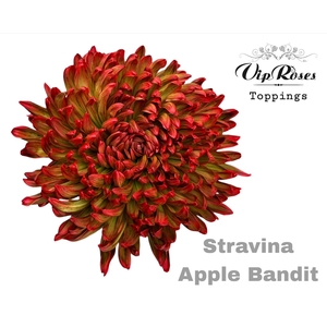 Chr G Stravina Apple Bandit