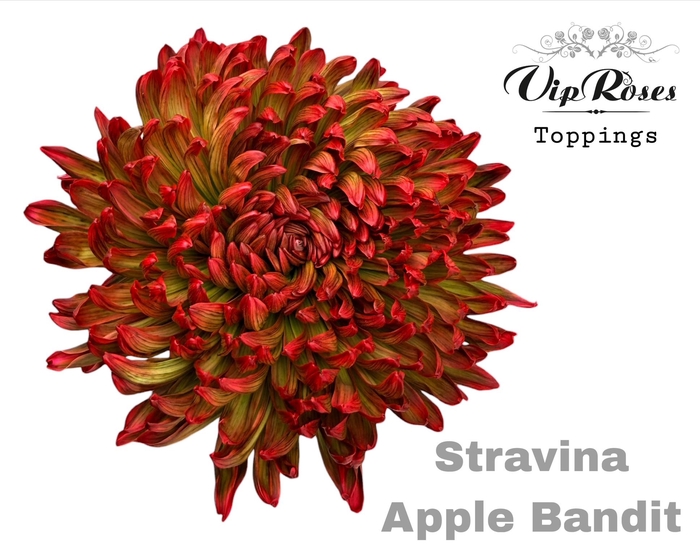 <h4>CHR G STRAVINA APPLE BANDIT</h4>