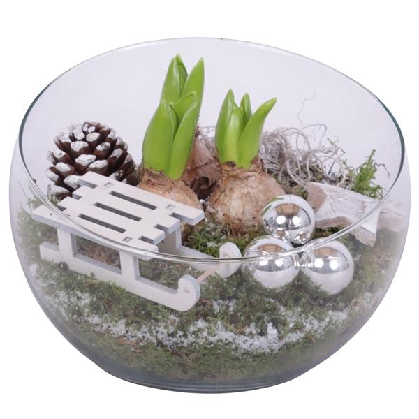 <h4>Christmas Arr. Hyacint Glass Bowl Vase Ø20cm 3PP</h4>