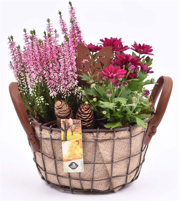 <h4>Gaasmand met jute 21x15.5cm</h4>